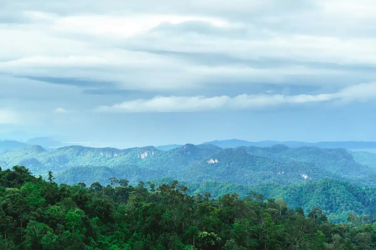 อุทยานแห่งชาติทองผาภูมิ